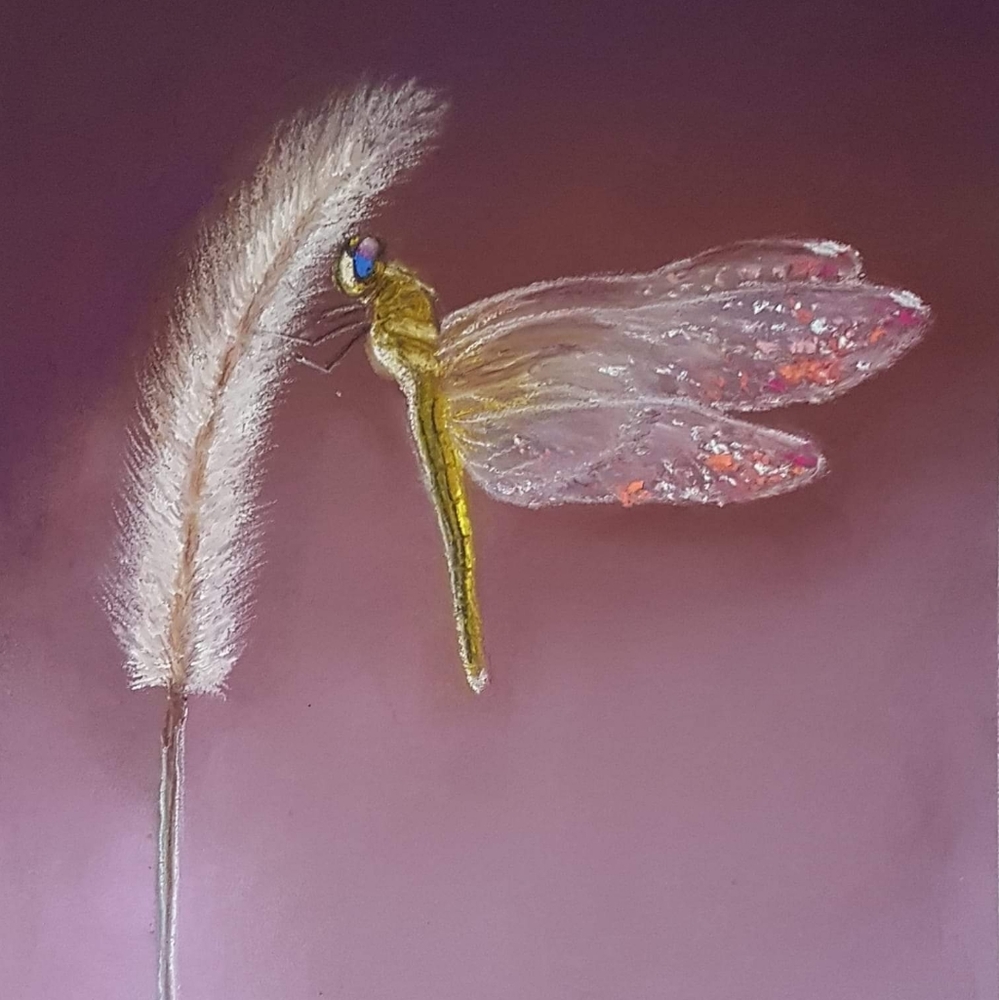 Bundle for @echo_attire